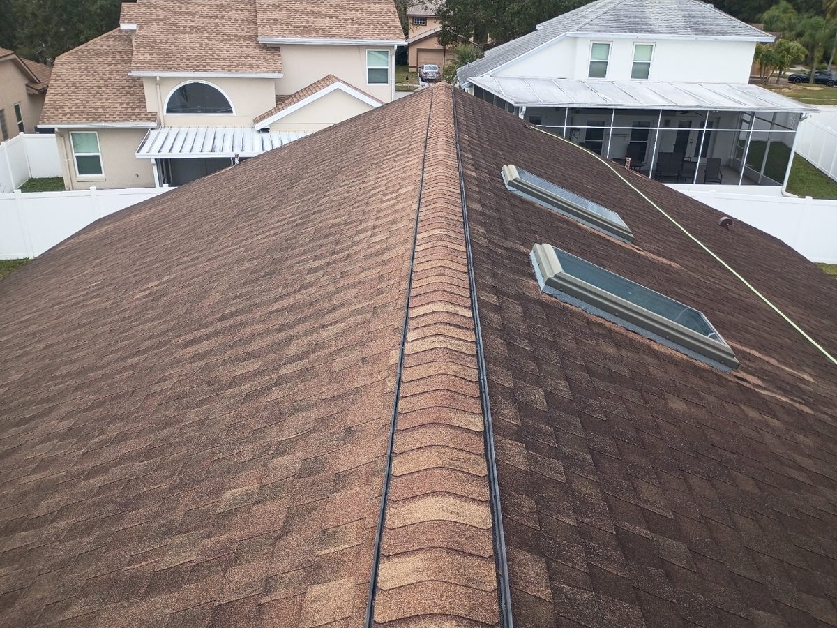 Shingle roof with algae staining before ProShine Squad soft wash